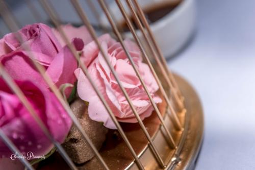 imprisoned flowers