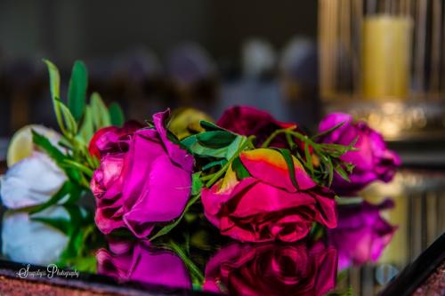 scented roses